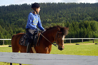 Reiturlaub im Bayerischen Wald